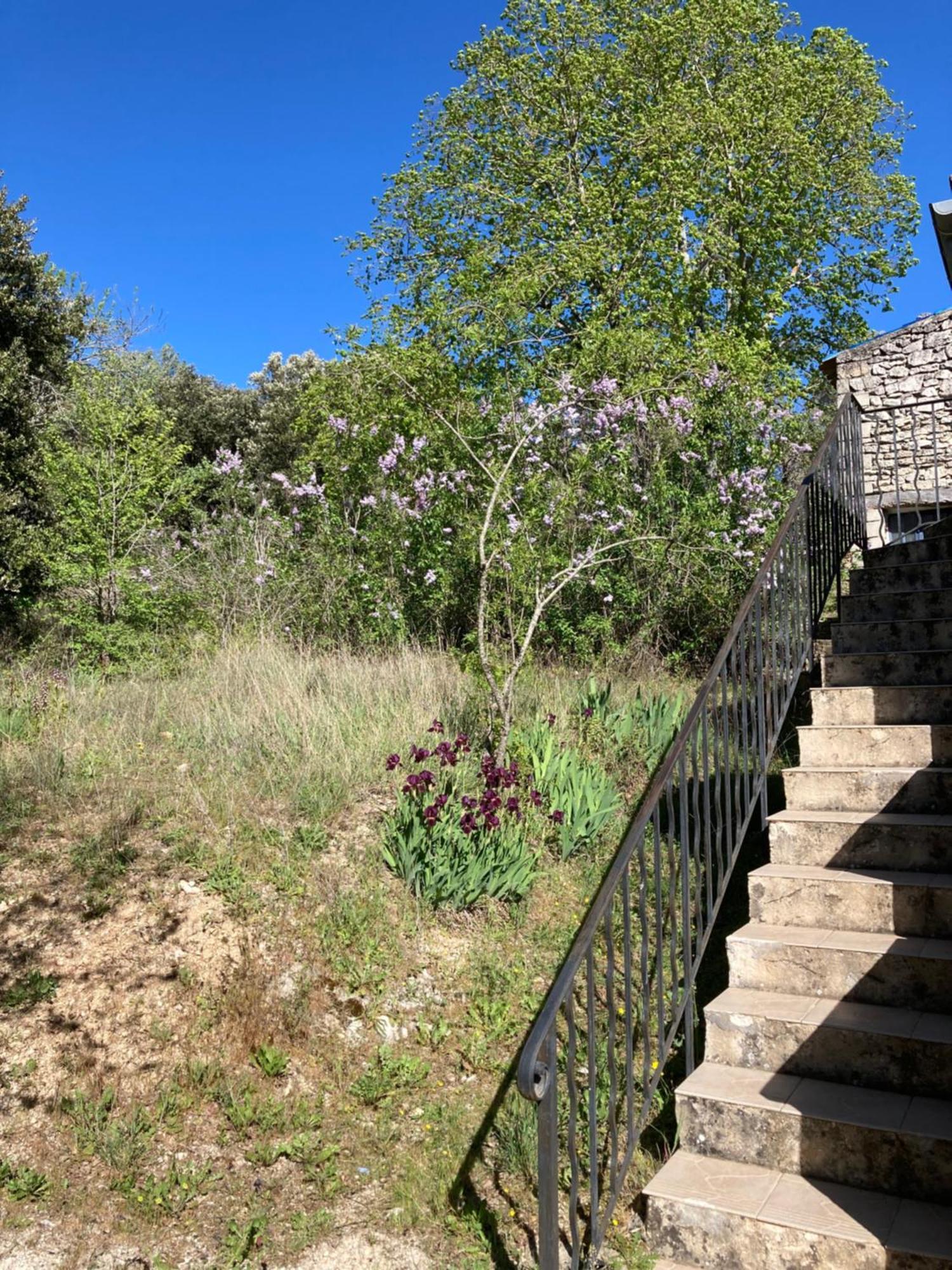 Maison Au Colorado Provencal Rustrel Exterior foto