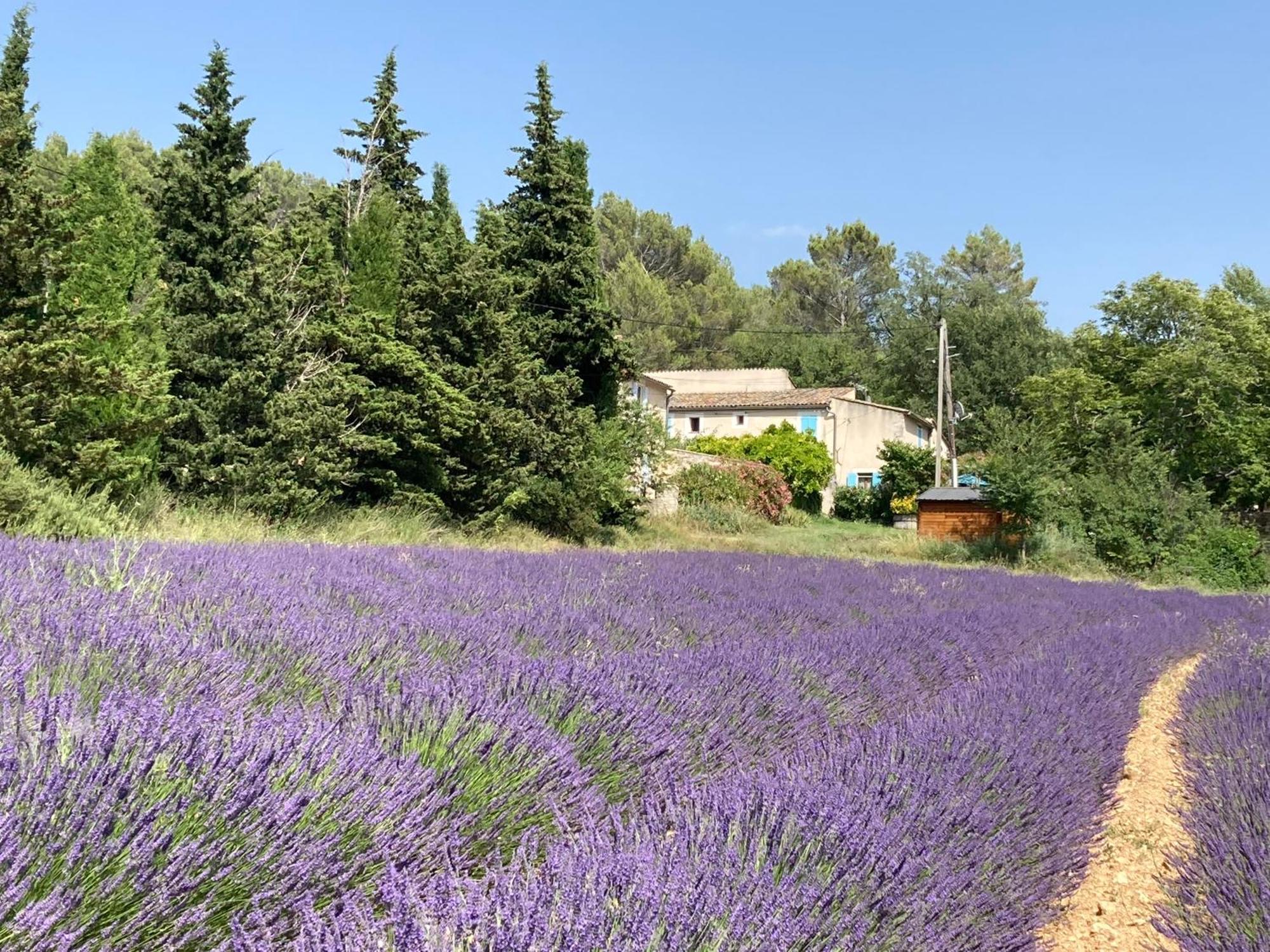 Maison Au Colorado Provencal Rustrel Exterior foto